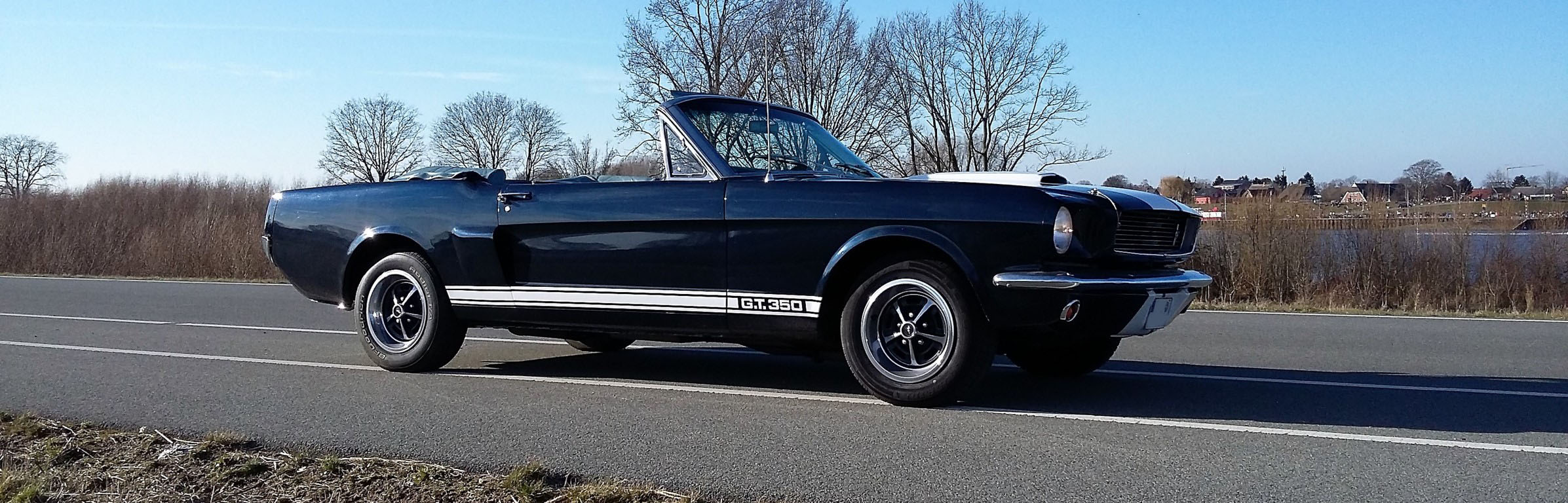 GT350_Header