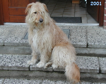 H2001
