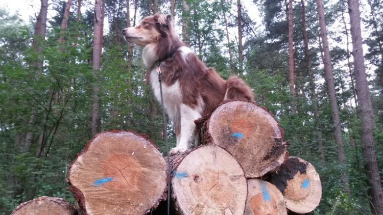 Alles im Blick