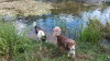 Treffen mit alter Freundin
