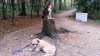 Im Wildpark