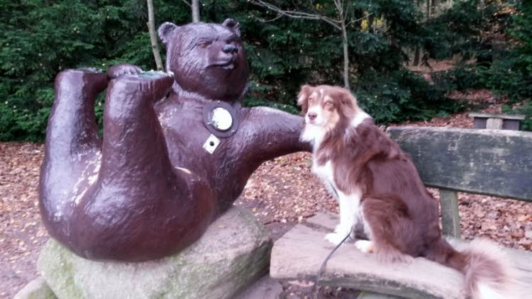 Wildpark 2