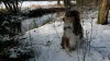 Schnee im Dezember