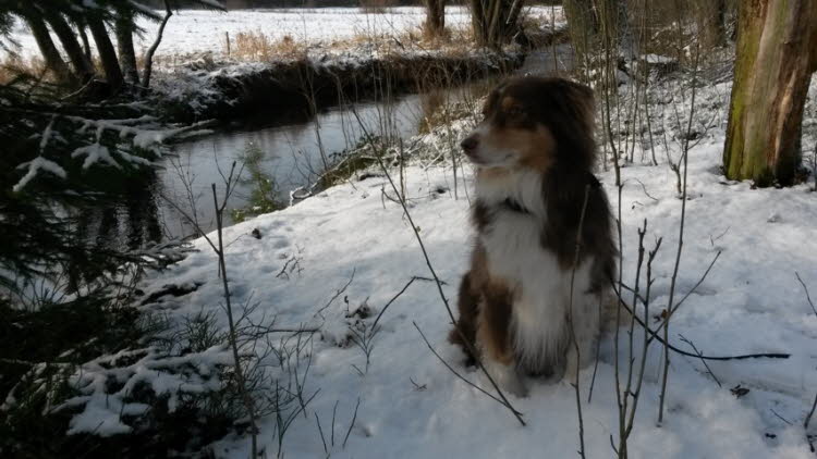 Schnee im Dezember
