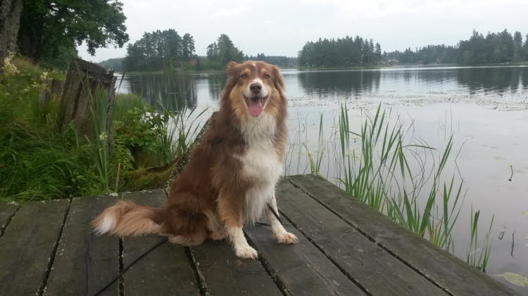 mit Tanzflche am Wasser
