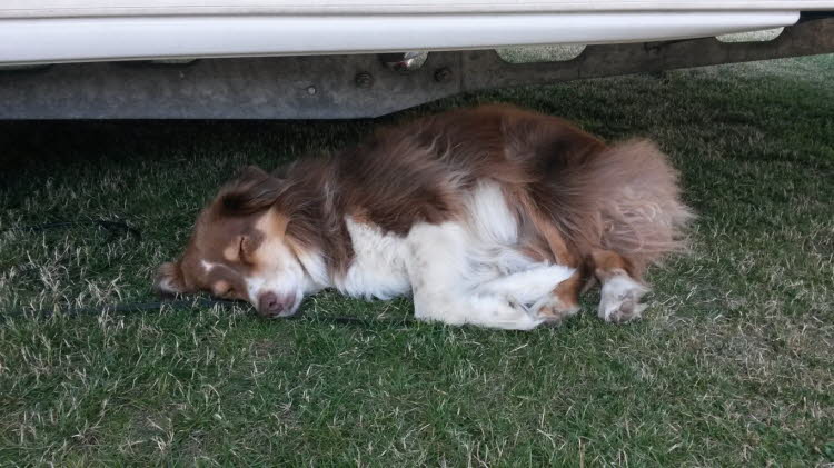 Urlaub ist soo anstrengend