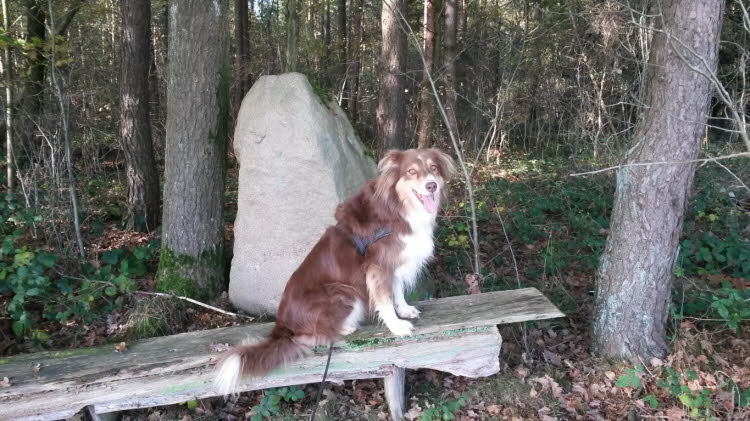 Eine Neuentdeckung