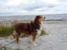 So riecht das echte Meer