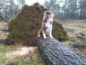 Sturm im Dezember