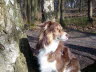 endlich mal Sonne