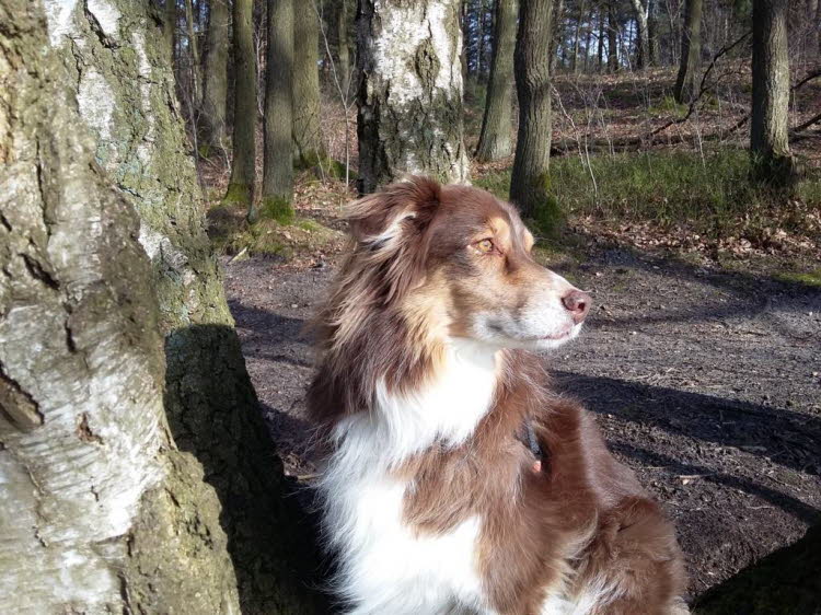 endlich mal Sonne