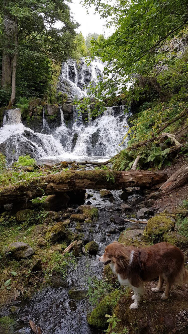 Urlaub in Schweden