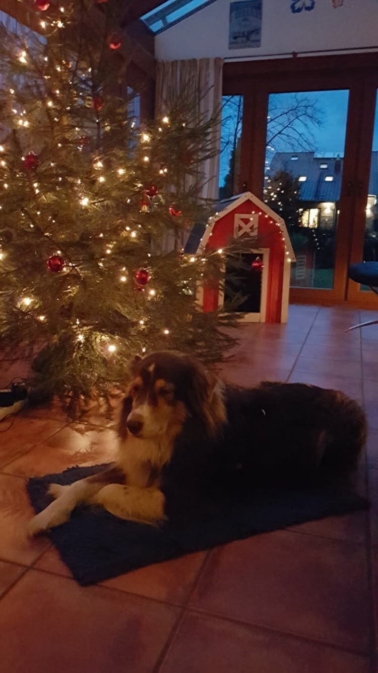 Weihnachten - Cool!