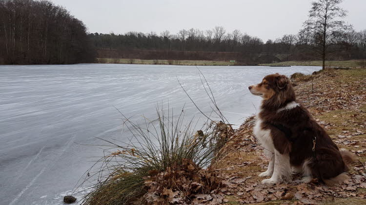 Heute ist nichts mit Baden