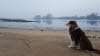 Trber Tag an der Elbe