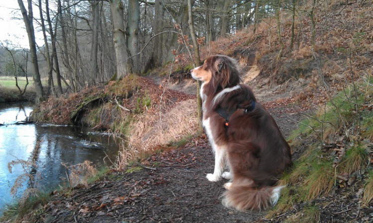 1 Tag vor Sylvester?
