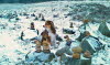 Der erste Schnee 2012