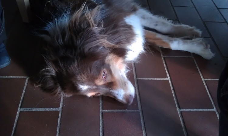 ...sind beide platt