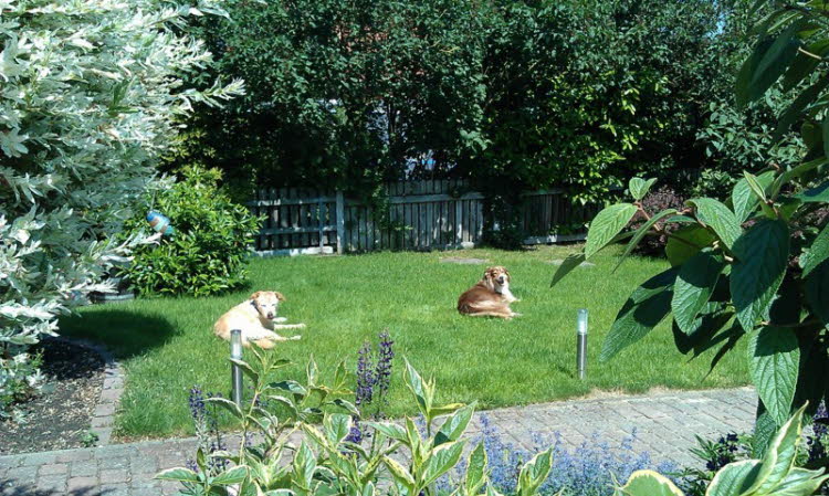 Endlich Sommer
