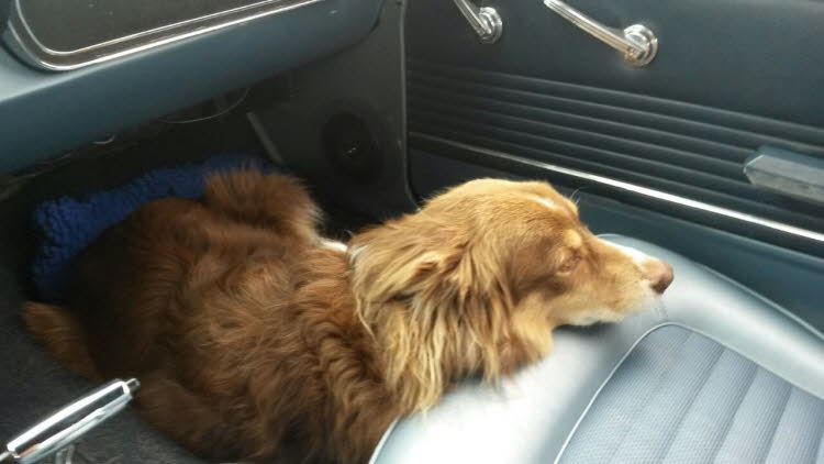 Im "neuen" Auto