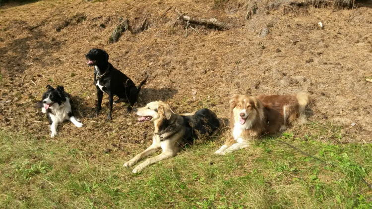 In der Septembersonne