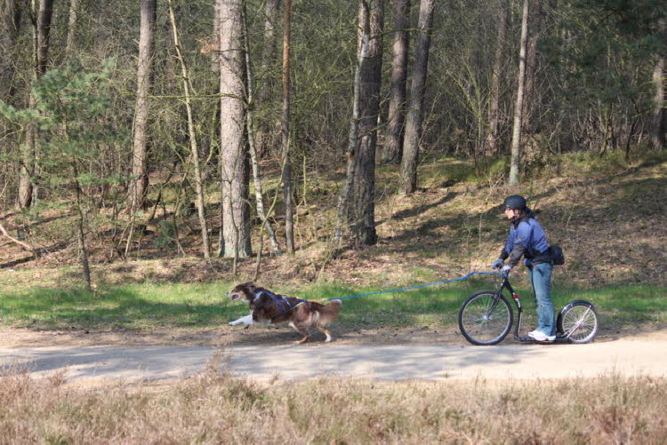 und Action!