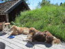 Pause vor der Keramikstube
