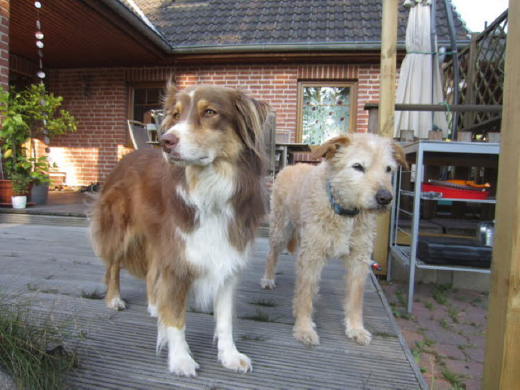 Terrassendienst