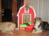 Weihnachten 2013