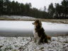 Der Eintage-Winter