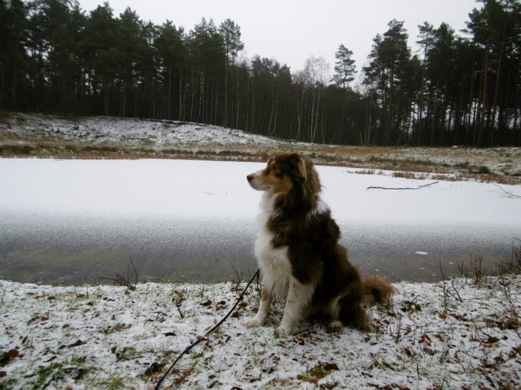 Der Eintage-Winter