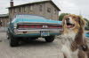 US-Car Treffen HL (2)