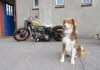 US-Car Treffen HL (3)
