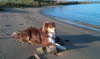 Schn an der Elbe liegen